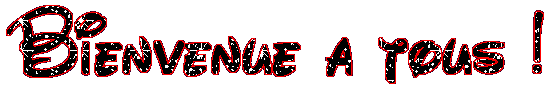 bienvenue